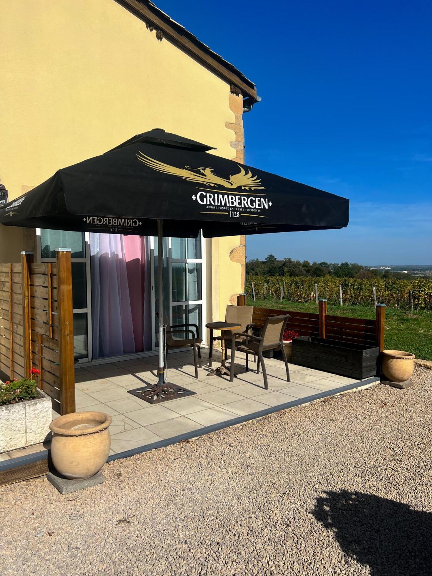 La Cote Des Blancs - Domaine Viticole & Maison D'Hotes Vinzelles Kültér fotó